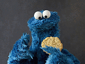 Cookiemonster's privacy policy.