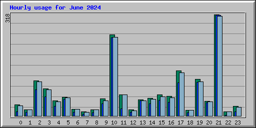 Hourly usage for June 2024