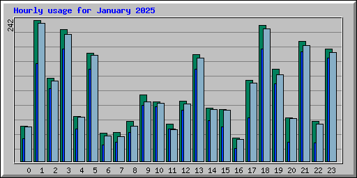 Hourly usage for January 2025