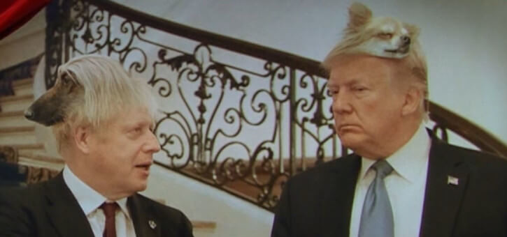 Trump Johnson